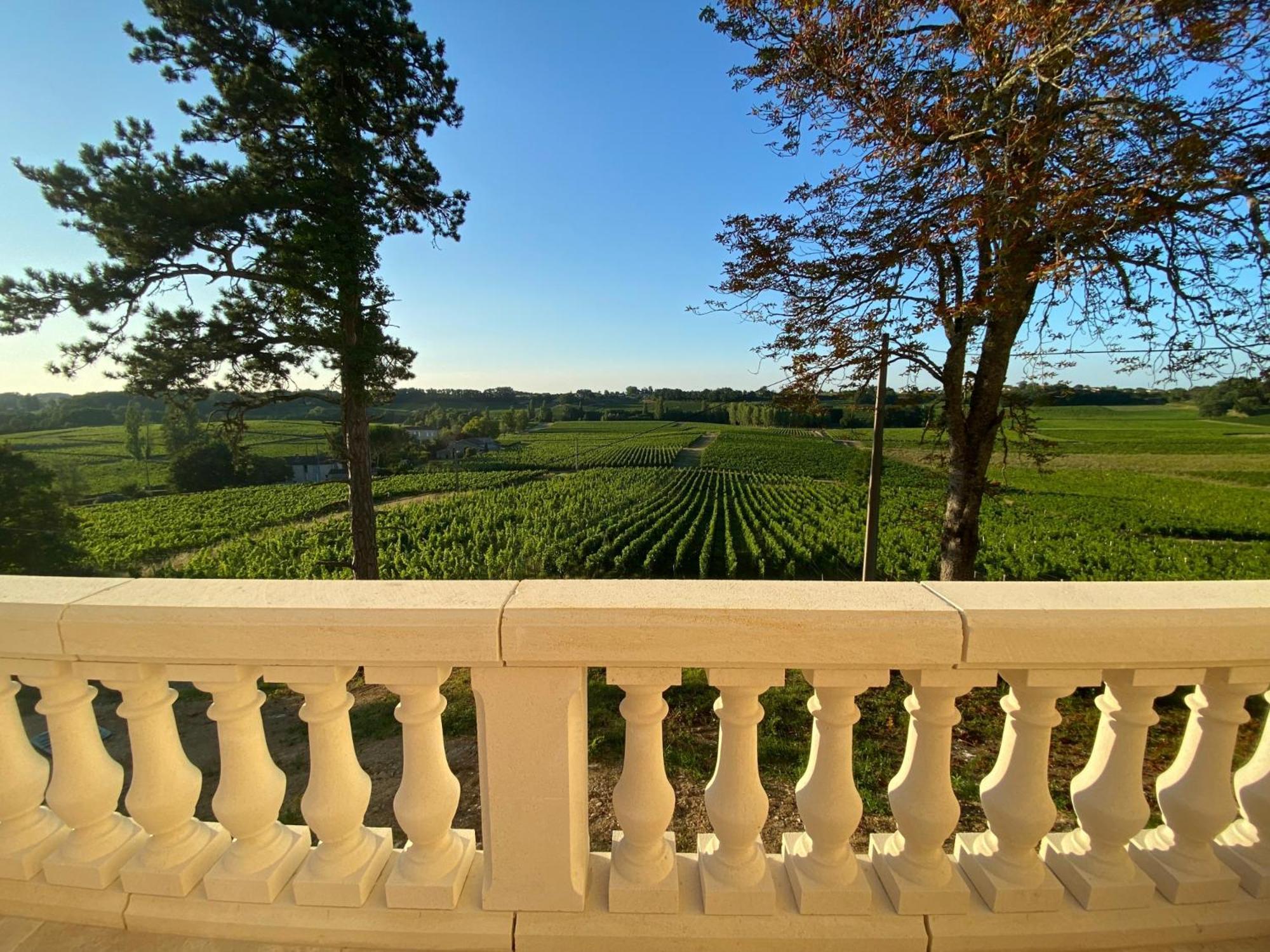 La Reserve Du Chateau De Roques Puisseguin Екстер'єр фото